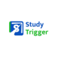 STUDY TRIGGER | CODING COURSE IN DELHI logo image