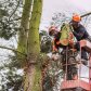 Coventry Stump Grinding logo image