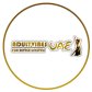 Online Adult Toys Shop in Dubai | adultvibesuae.com logo image