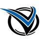 Vision Technology Group, LLC logo image