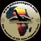 KILISERENGORO TOURS - kilimanjaro climbing | Tanzania safari | serengeti migration | Zanzibar Vacation Tours logo image